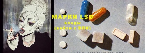 индика Белокуриха